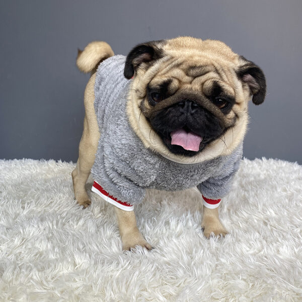 Pet sweater - Image 4