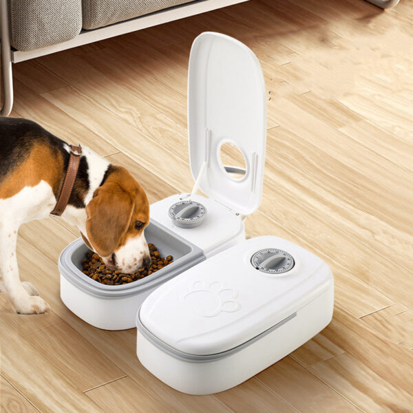 Automatic Pet Feeder Smart Food Dispenser For Cats Dogs Timer Stainless Steel Bowl Auto Dog Cat Pet Feeding Pets Supplies - Image 5